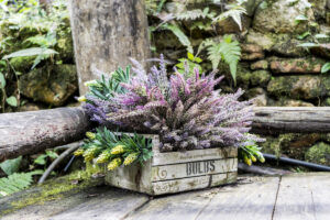 Adornare balcone e giardino con le cassette di legno.