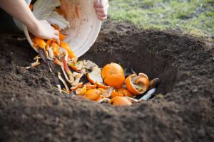 fertilizzare il giardino con bucce di frutta