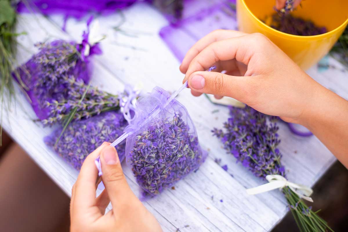 profumare casa con lavanda