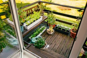 orto terrazzo marzo
