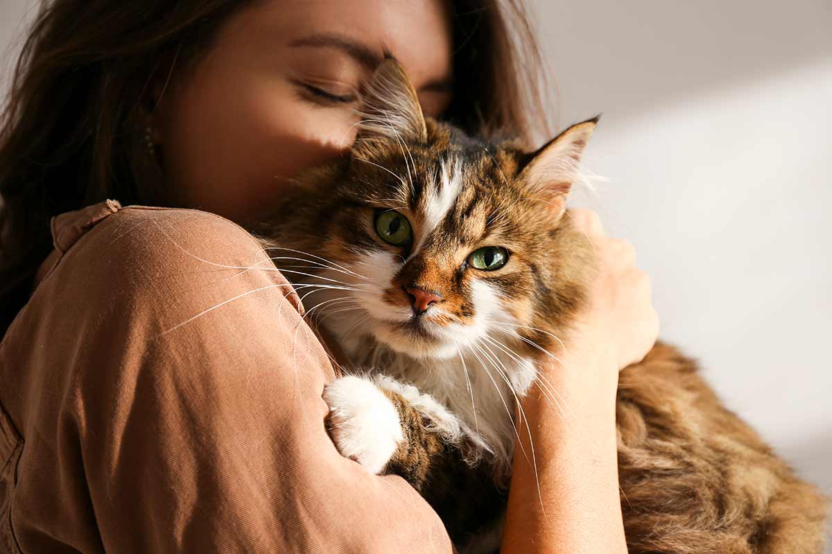 gatto con donna
