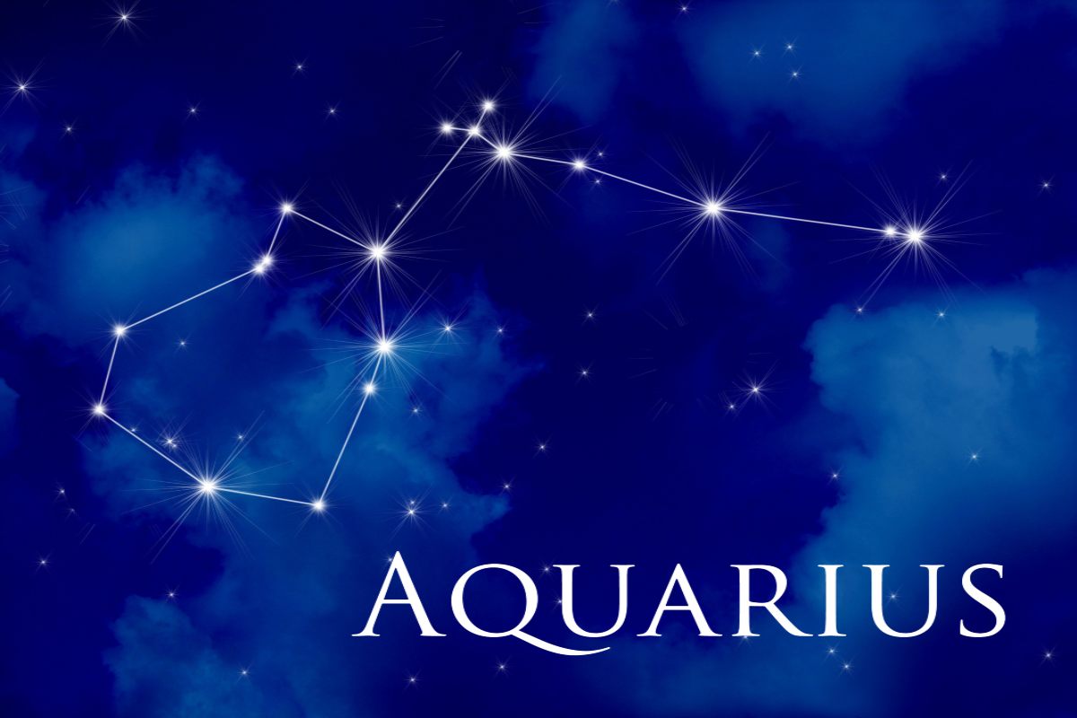 Acquario