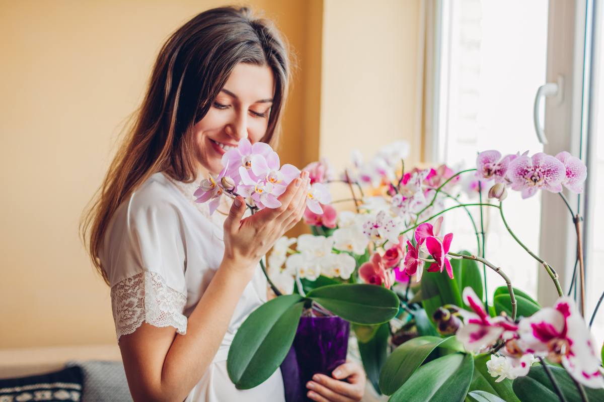 Aglio nelle orchidee