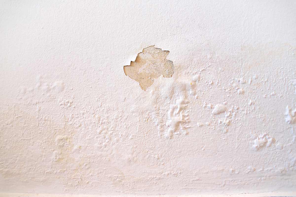 muro con umidità di risalita