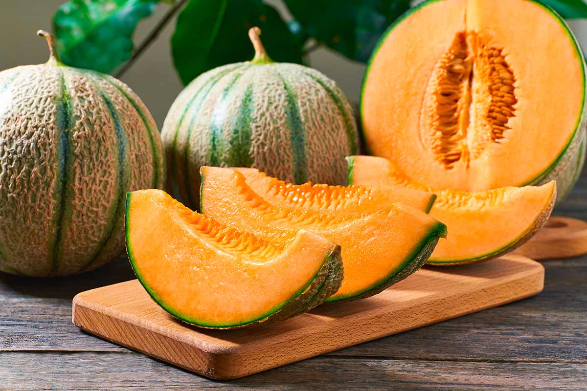 melone