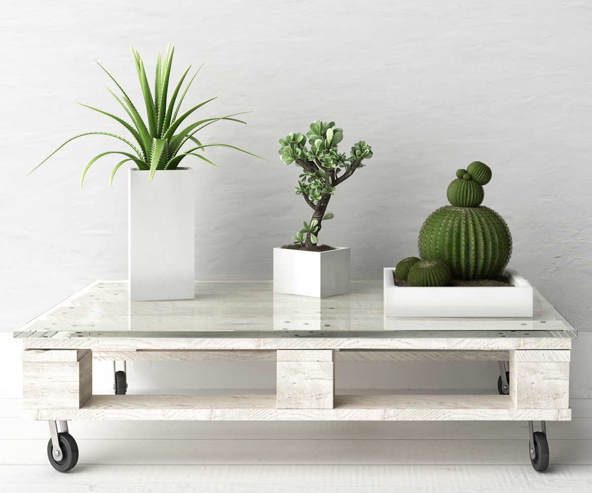 realizzare scaffali e mobili con riciclo pallet