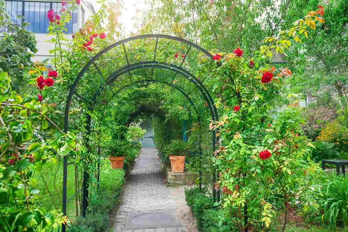 Decorare il giardino con le piante rampicanti su tralicci.