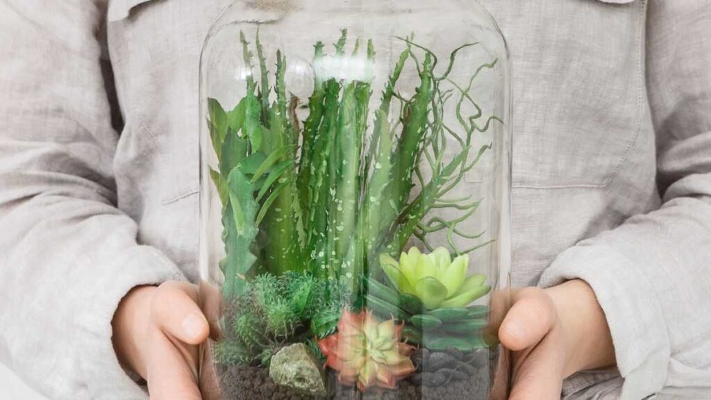 33 vasi da coltivazione con sottovaso, vasi da fiori, piccoli con fori di scarico, in plastica, rettangolari, per trapiantare piantine, piante grasse, 7 x 8 x 5 cm
