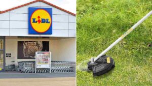 non perdere l'offerta Lidl sul decespugliatore