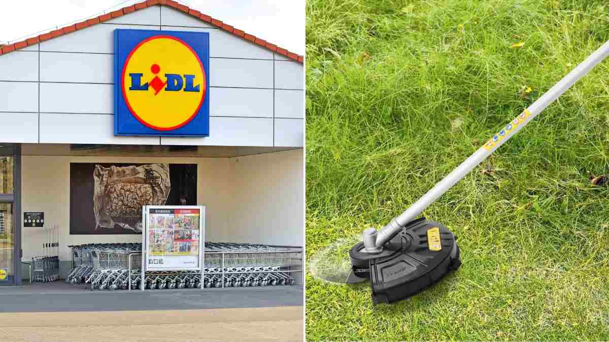 non perdere l'offerta Lidl sul decespugliatore