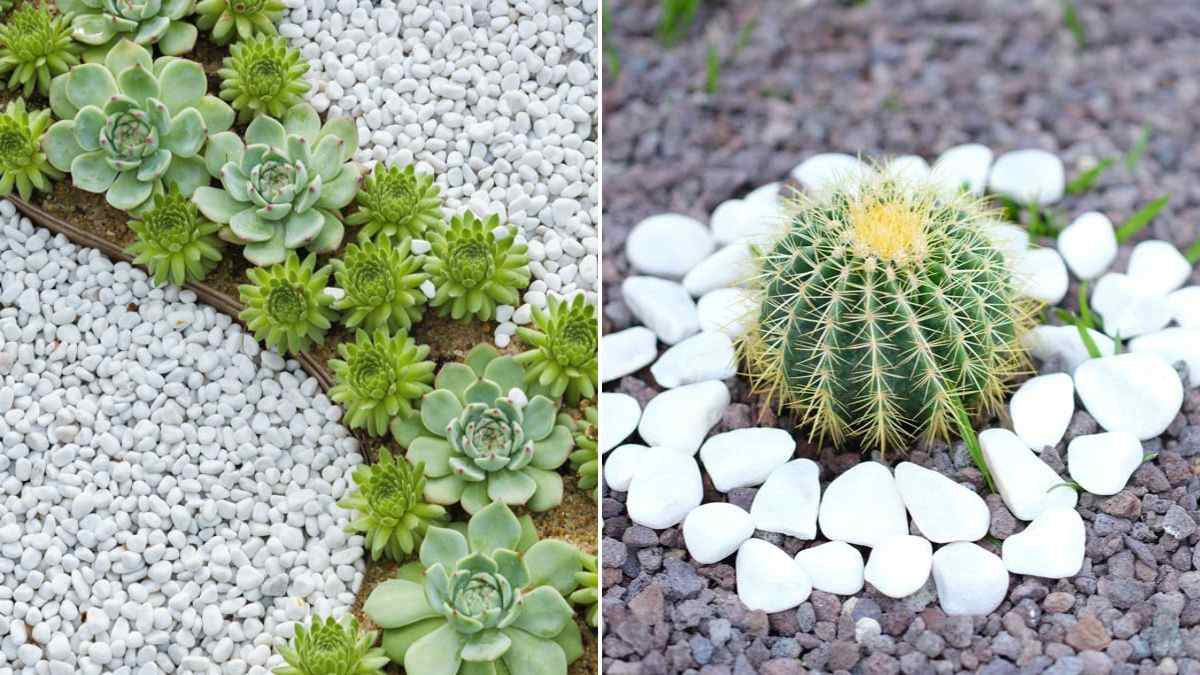 decora il tuo giardino con i sassi