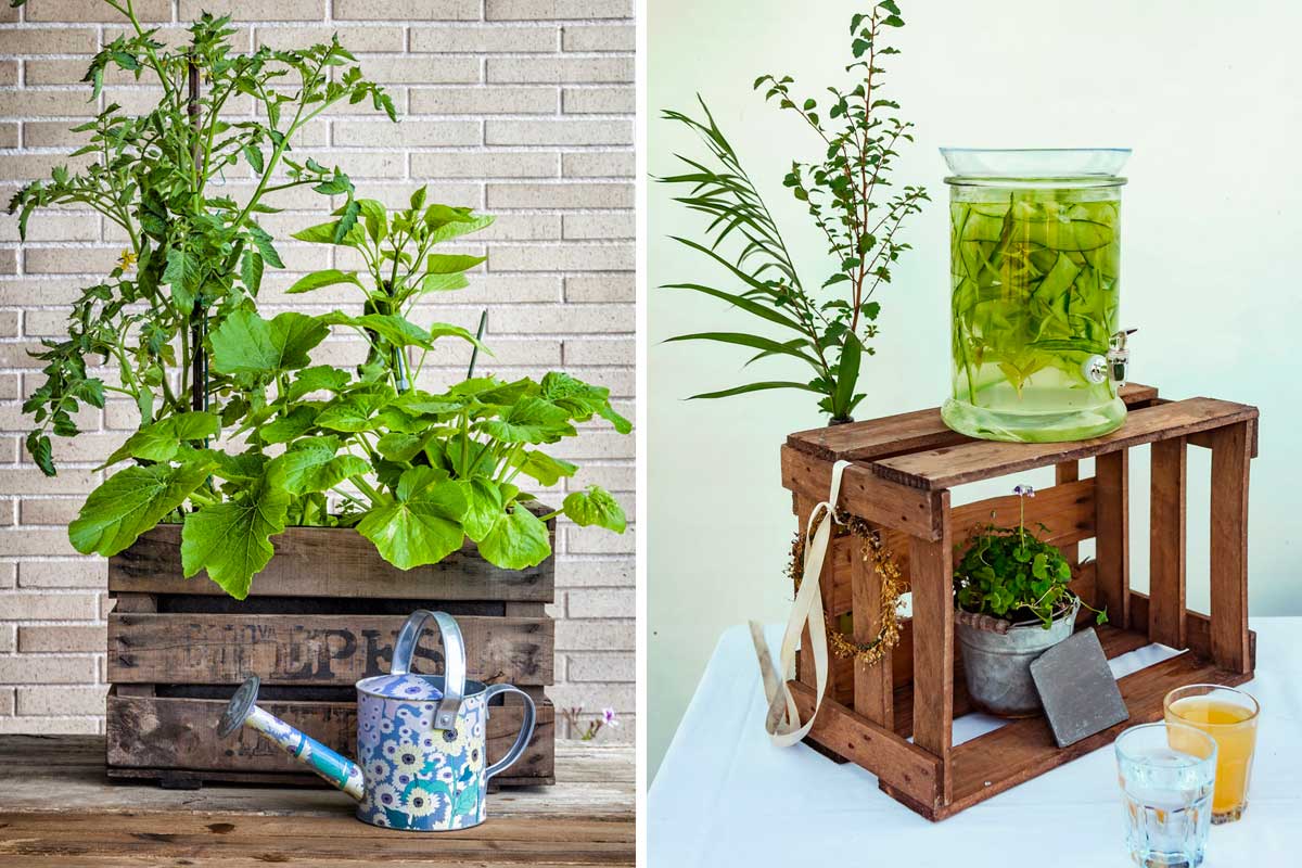decorazioni primaverili con cassette di legno