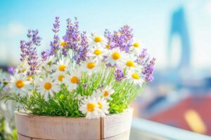 fiori che sbocciano ad aprile