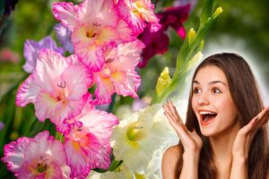 balcone pieno di gladioli