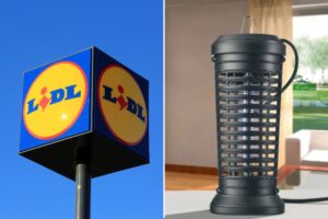 Zanzare KO con la nuova lampada insetticida Lidl a meno di 13€
