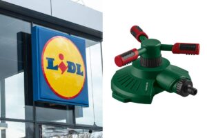 Tre modalità, zero pensieri: l’irrigatore Parkside Lidl