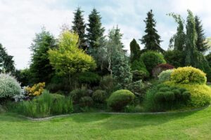 Giardino esposto a sud? Queste piante lo renderanno spettacolare