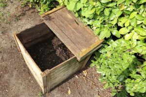 Concime naturale fai da te con ciò che hai in casa: funziona davvero