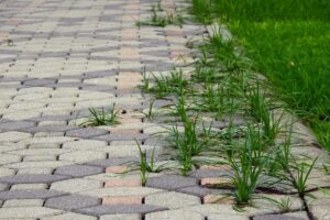 Stop alle erbacce! 3 ingredienti naturali