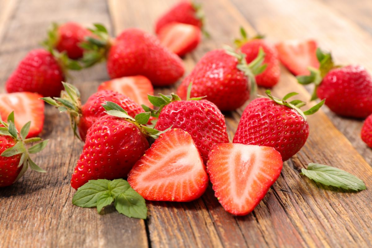 Trapiantare fragole in casa