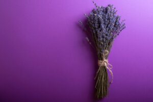 Come far fiorire la lavanda anche in un piccolo balcone di città