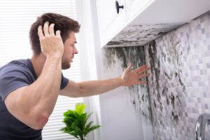 Hai muffa in casa? Ecco l’errore che la fa peggiorare ogni giorno