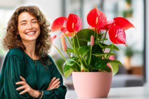 piante più eleganti da regalare in primavera
