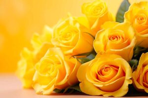 Regalare un fiore per un’amicizia