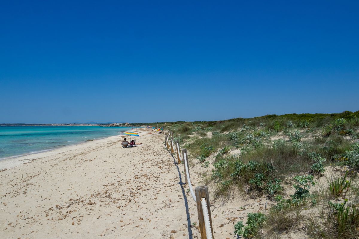 spiaggia con dune 