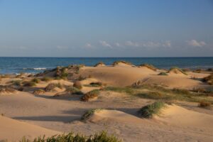 Spiagge con dune, pini e silenzio: il lato nascosto della Spagna