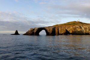 Un faro, silenzio e animali rari: alla scoperta di Anacapa, l’isola più misteriosa della California