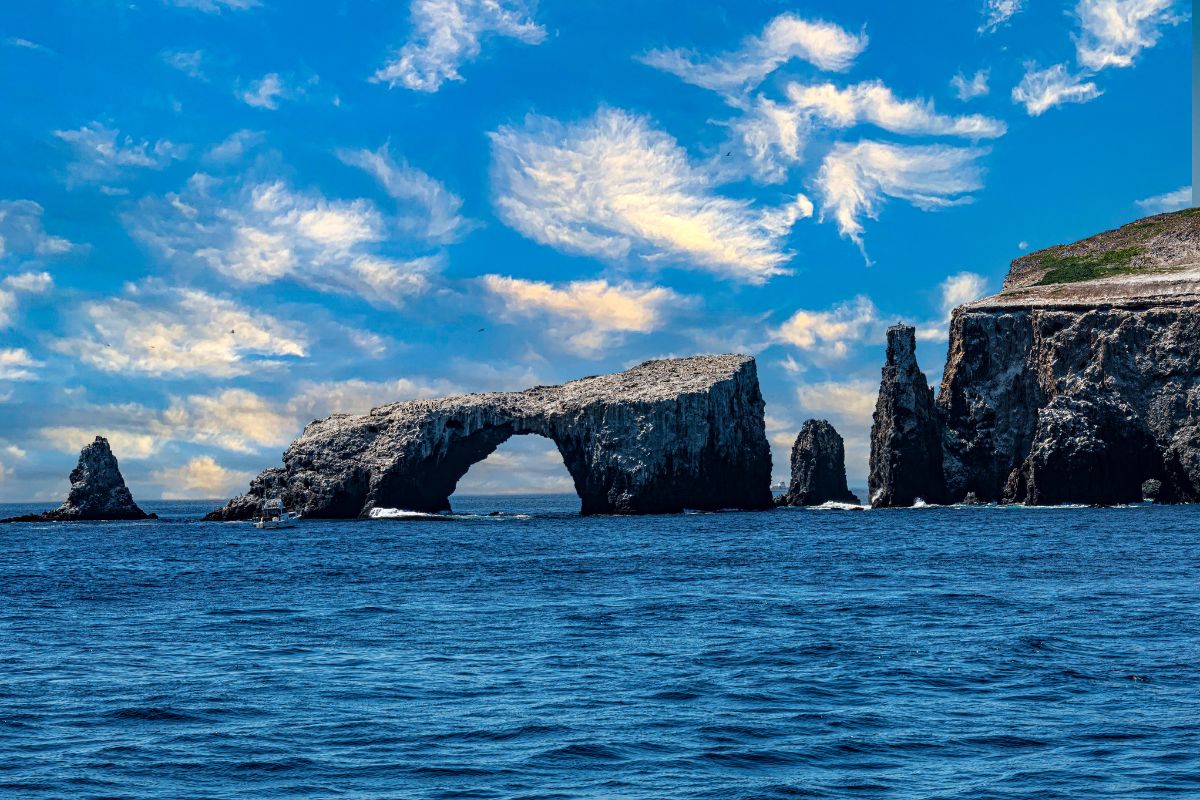 scopri l'isola di Anacapa