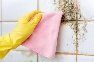 Come eliminare la muffa dal bagno prima che il caldo la faccia esplodere