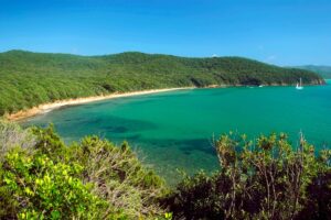 C'è una spiaggia in Toscana dove la sabbia canta: scopri Cala Violina