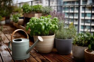 Con queste piante aromatiche trasformi il balcone in un giardino profumato d'estate