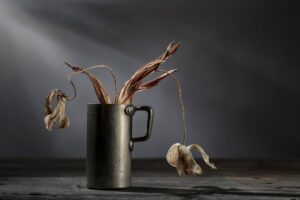 Con questi 3 errori rischi di far seccare i fiori d’estate