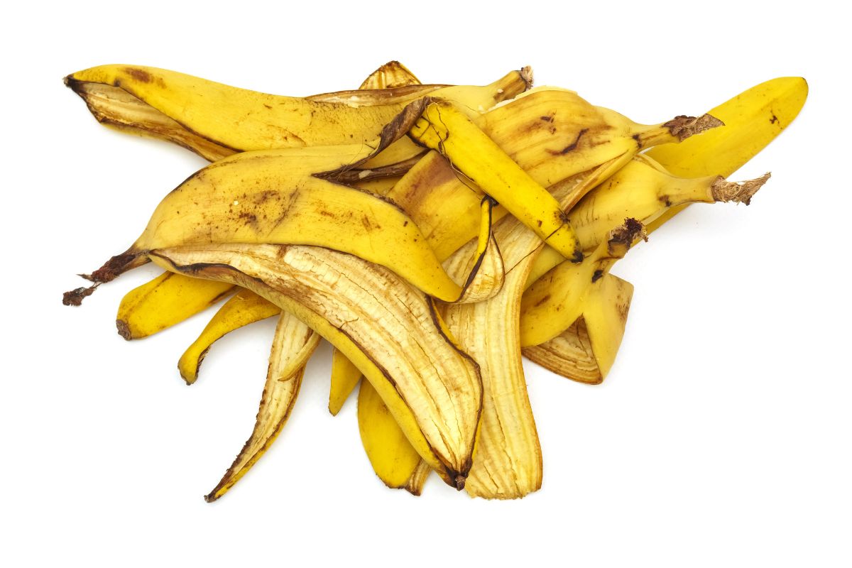 come fare compost con bucce di banana