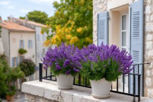 Lavanda in fiore: come raccoglierla e conservarla ad agosto nel modo giusto