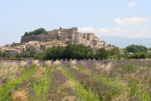 Francia on the road: itinerario di 7 giorni tra castelli, lavanda e villaggi