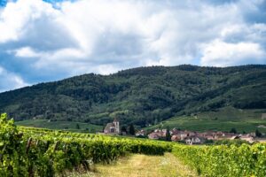 Viaggio in Alsazia tra agosto e settembre: tra vigneti, borghi e mercatini