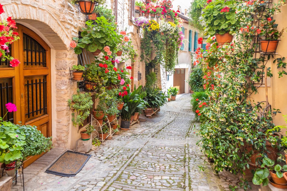dove andare  in vacanza se ami i fiori 