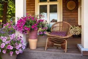 Fiori in vaso che non temono l’estate: i nomi che devi conoscere