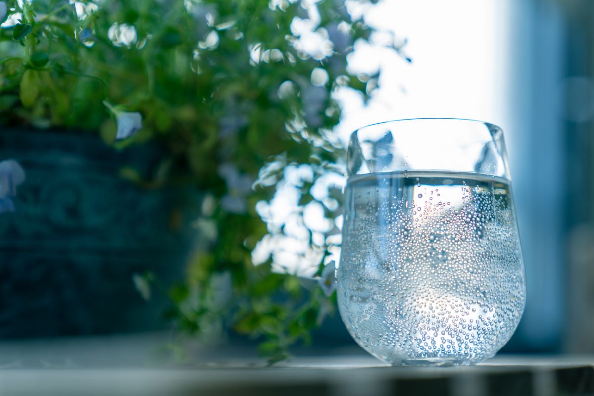 pulire vetri con acqua gassata