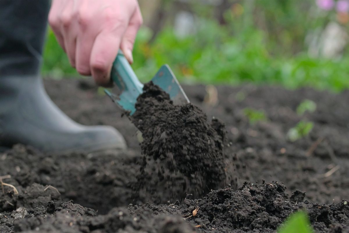come preparare terreno per l'autunno