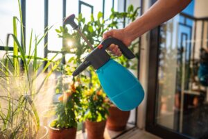 Come eliminare i parassiti dalle piante con un decotto di aglio