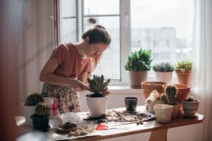Come rinvasare le piante da appartamento in autunno