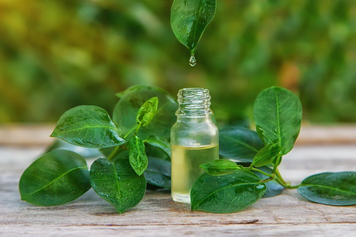 spray profumati per tessuti