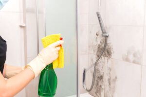 Il mix naturale che elimina muffa e umidità da box doccia e piastrelle