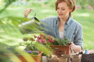 I 3 errori che seccano i fiori a fine stagione (e come evitarli)