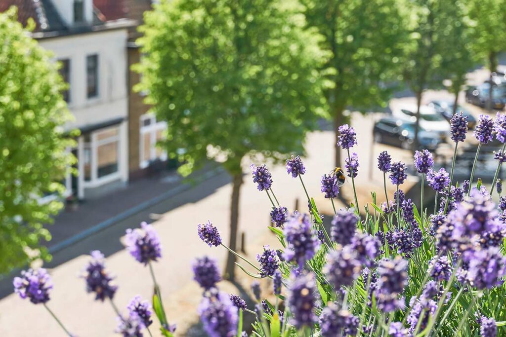 A Chelsea 2026 si vede ovunque, il balcone naturale che piace anche in città